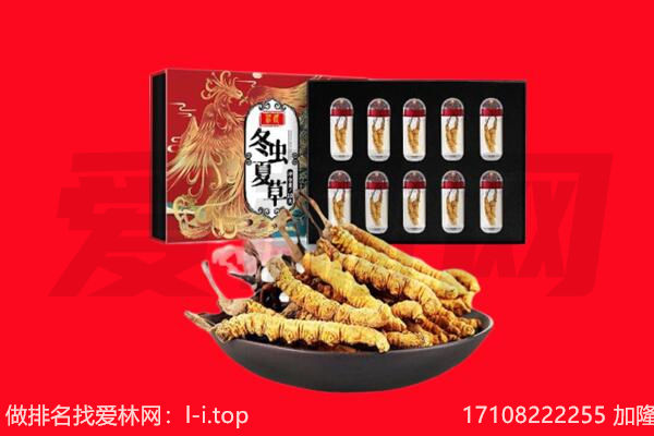 晋中市回收虫草.jpg